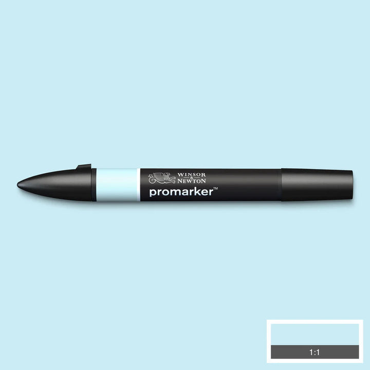 Cool Aqua (C429) Winsor Pro Marker