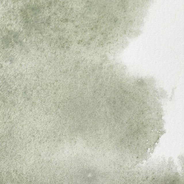 Davys Gray S1 Winsor &amp; Newton 1/2 Pan
