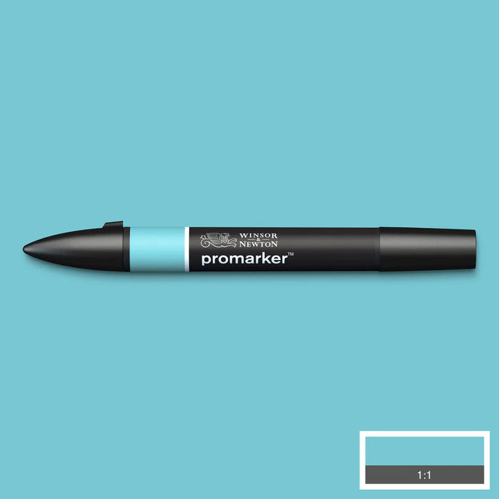 Duck Egg (C528) Winsor Pro Marker