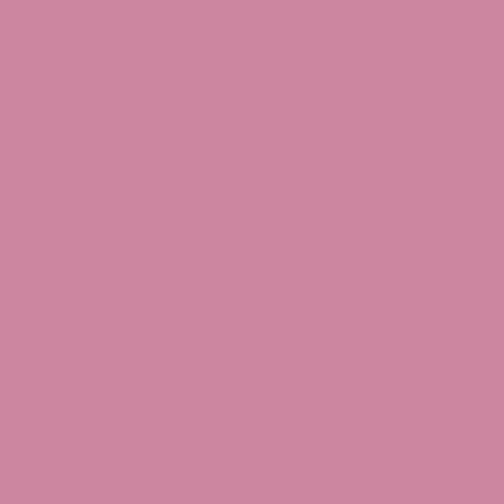 Dusky Rose (R327) Winsor Pro Marker