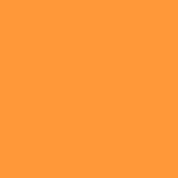 Flurorescent Orange Liquitex Spray Paint 400ml Can