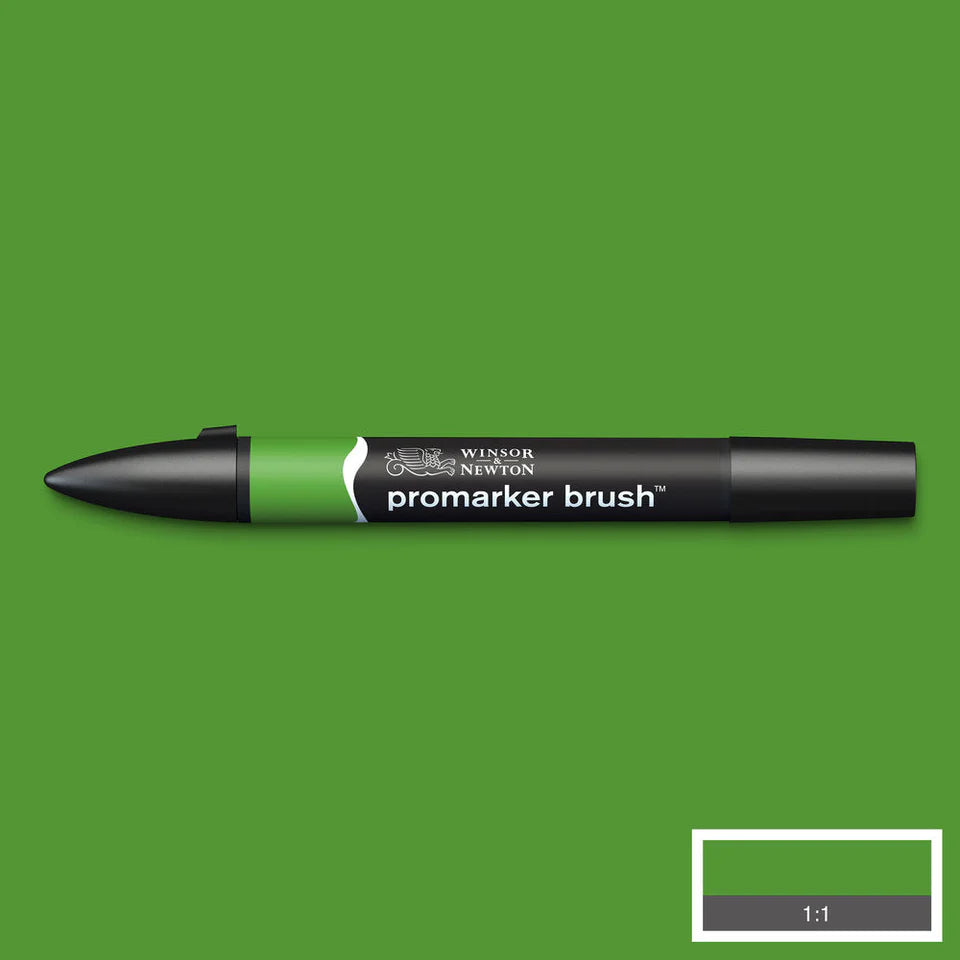 Forest Green (G356) Winsor Brush Marker