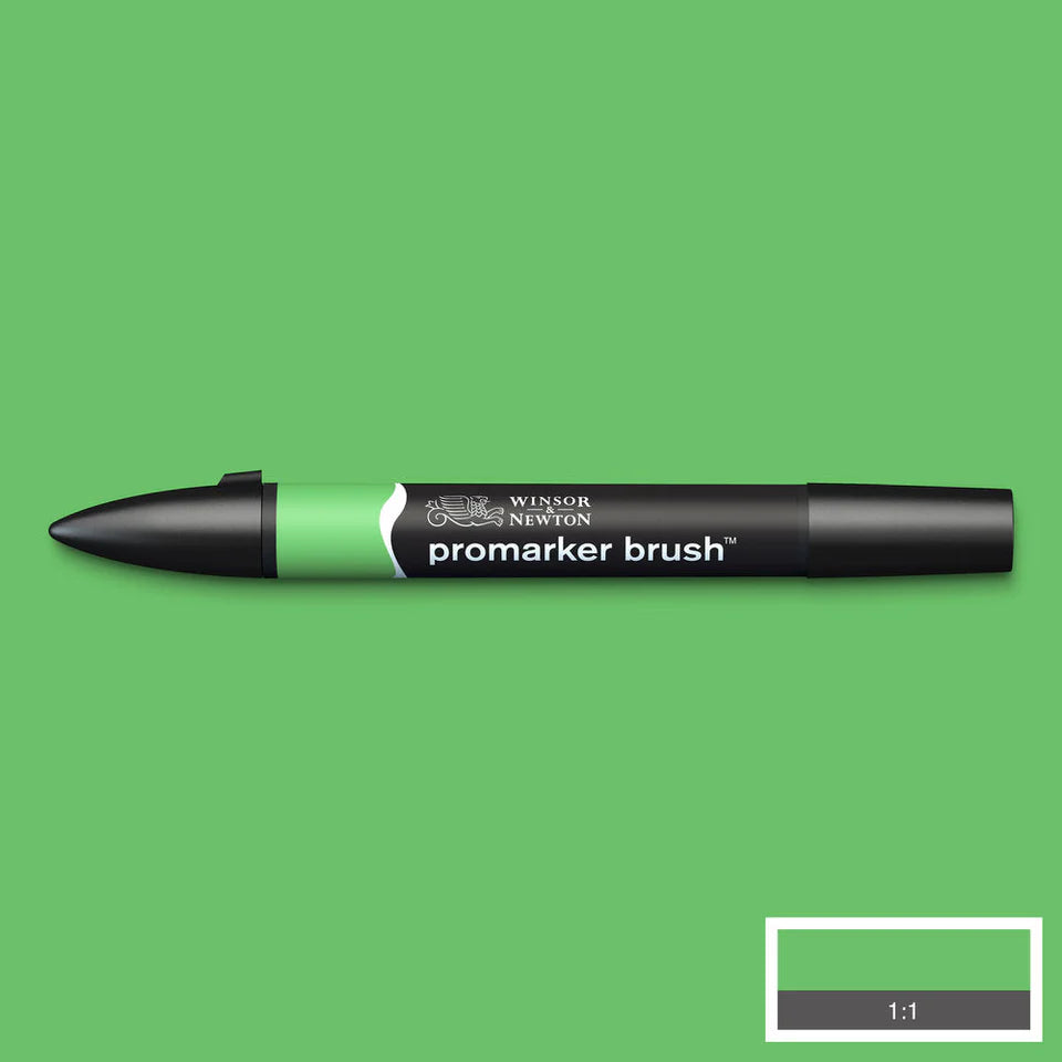 Grass (G457) Winsor Brush Marker