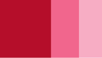 Carmine Horadam Gouache 15ml