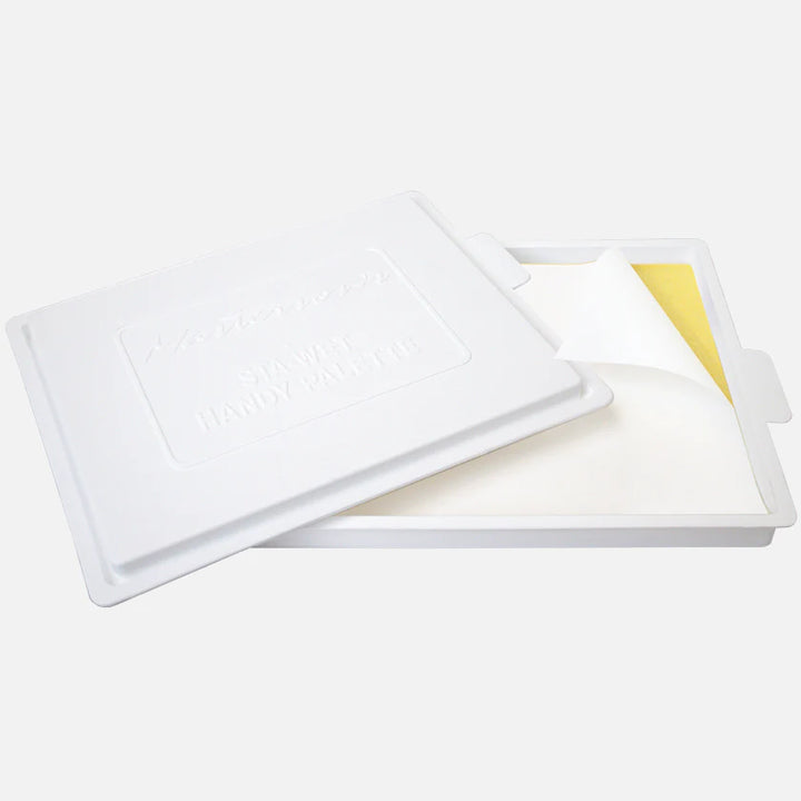 Handy Sponge Refill 3 Pack Masterson