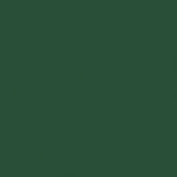 Hookers Green Hue Perm Liquitex Spray Paint 400ml Can