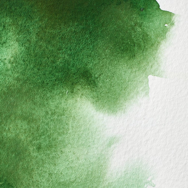 Hookers Green S1 Winsor &amp; Newton 1/2 Pan