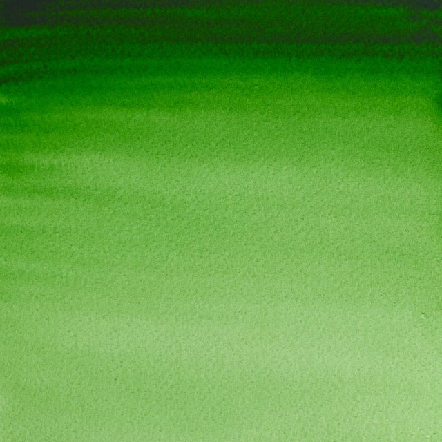 Hookers Green S1 Winsor &amp; Newton 1/2 Pan