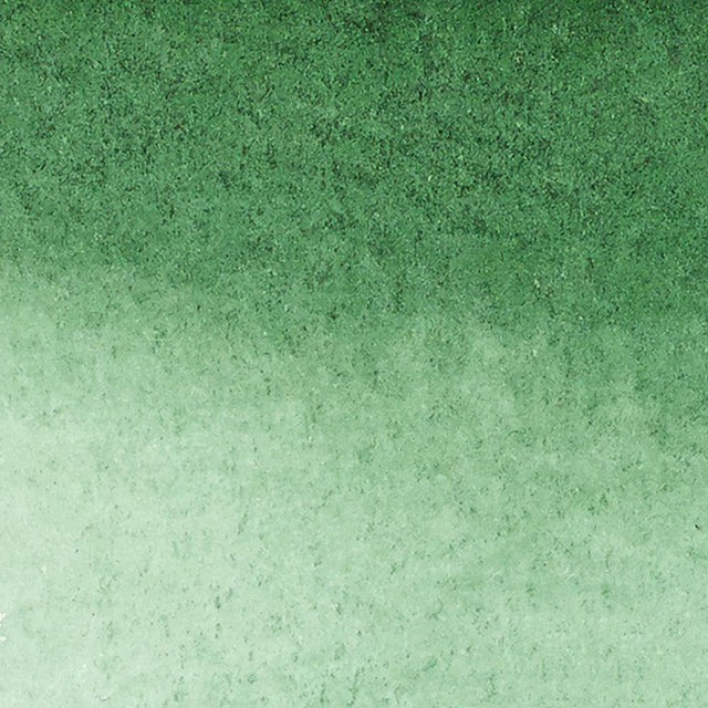 Hookers Green Dark Winsor Newton Watercolour Marker