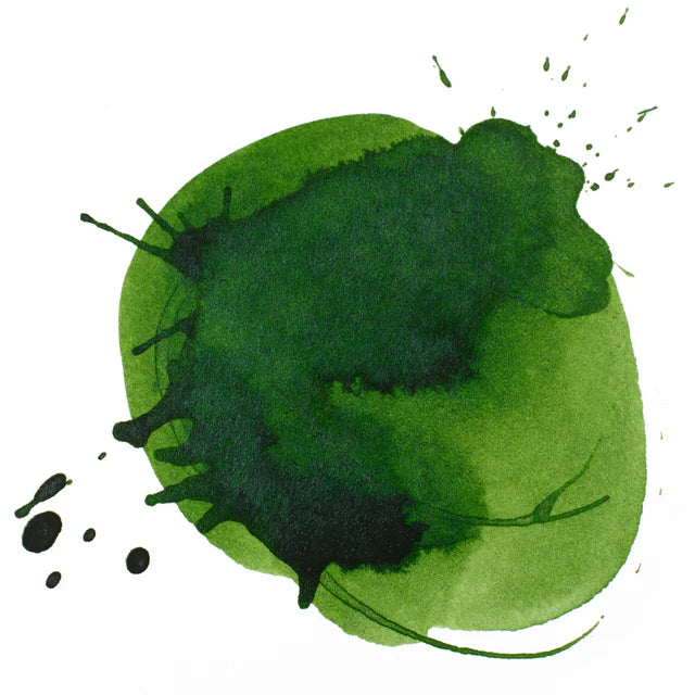 Hookers Green Hue Perm Liquitex Acrylic Ink 30ml