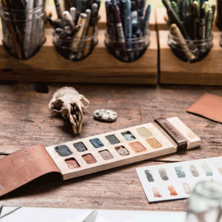 Iris Painters Palette
