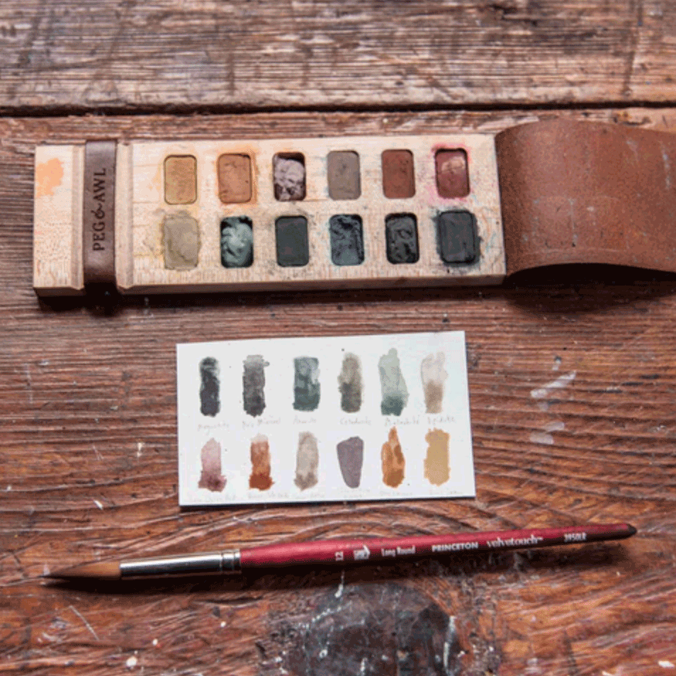 Iris Painters Palette