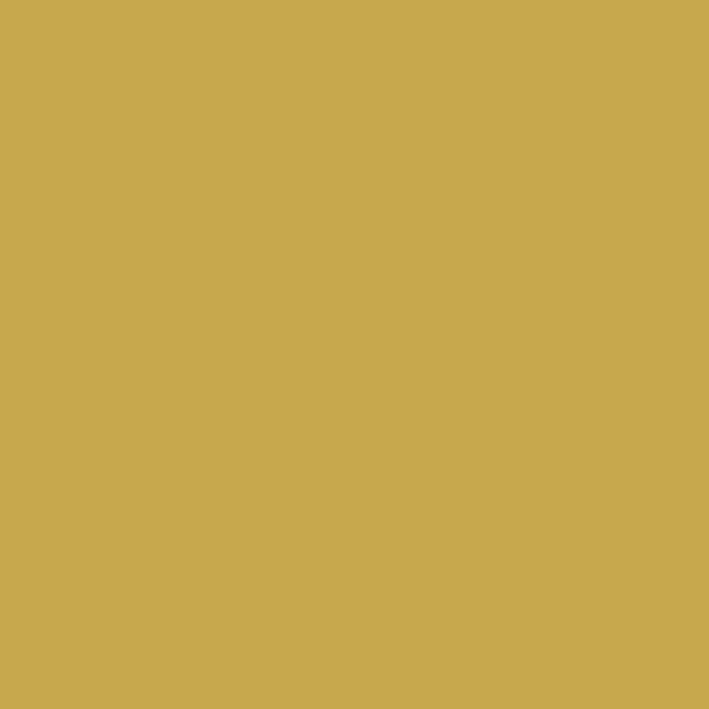 Iri Antique Gold Liquitex Marker Wide 15mm