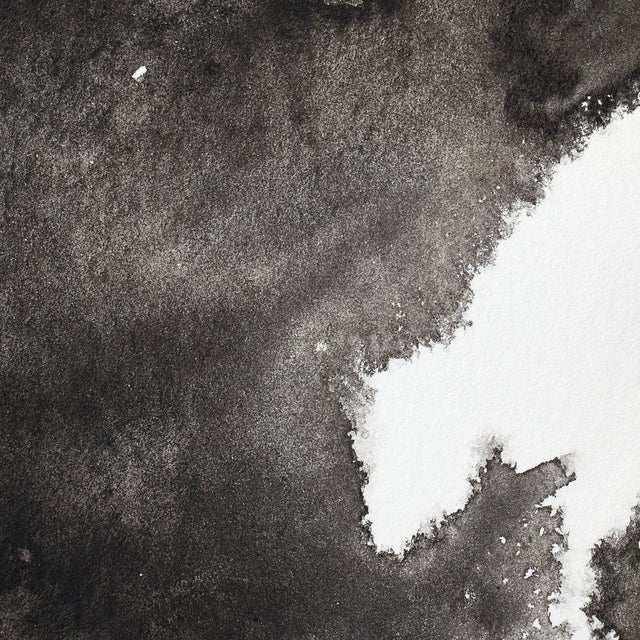 Ivory Black S1 Winsor &amp; Newton 1/2 Pan