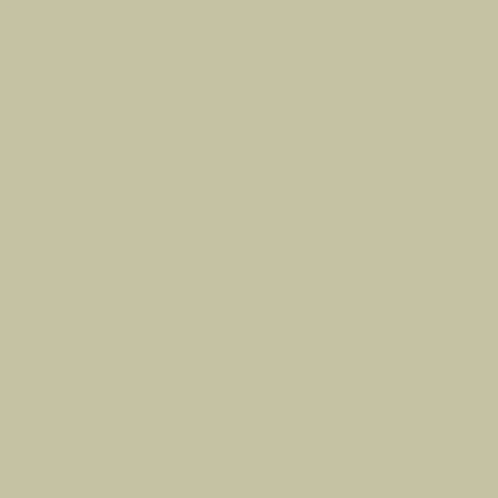 Khaki (Y616) Winsor Pro Marker