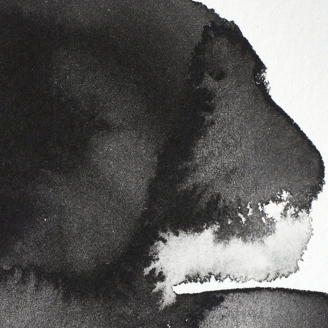 Lamp Black S1 Winsor &amp; Newton 1/2 Pan