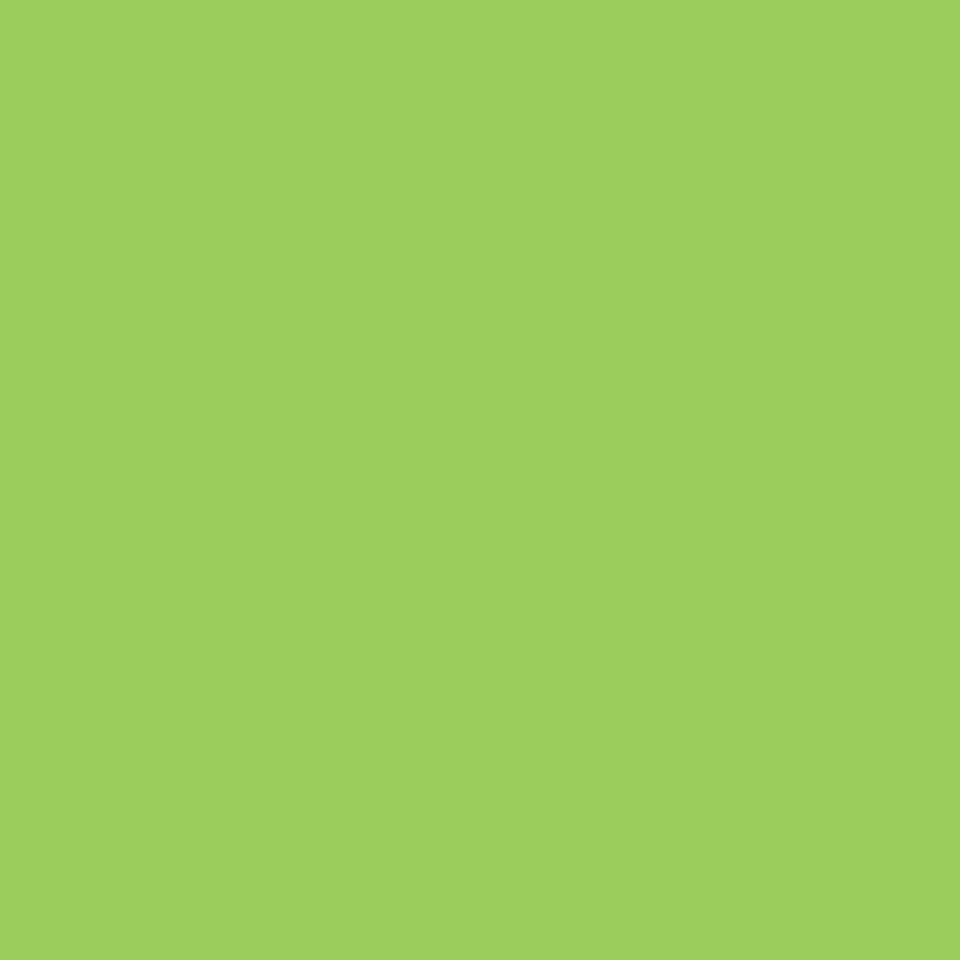 Leaf Green (G258) Winsor Pro Marker