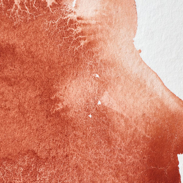 Light Red Awc Winsor &amp; Newton