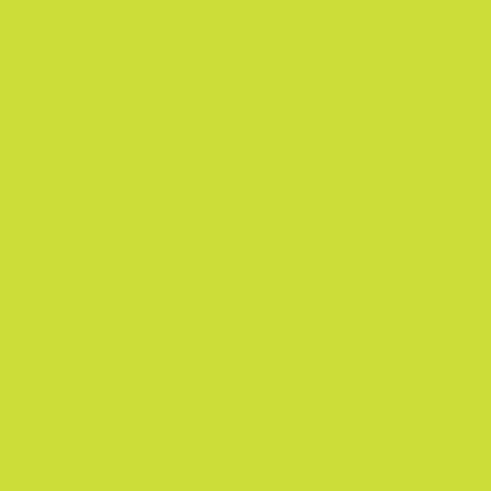 Lime Green (G178) Winsor Pro Marker