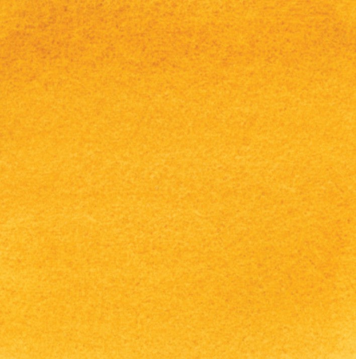 Monte Amiata Natural Sienna DANIEL SMITH 1/2 Pan