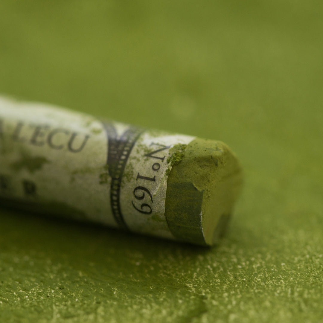 169 Moss Grey Green Sennelier Extra Soft Pastel