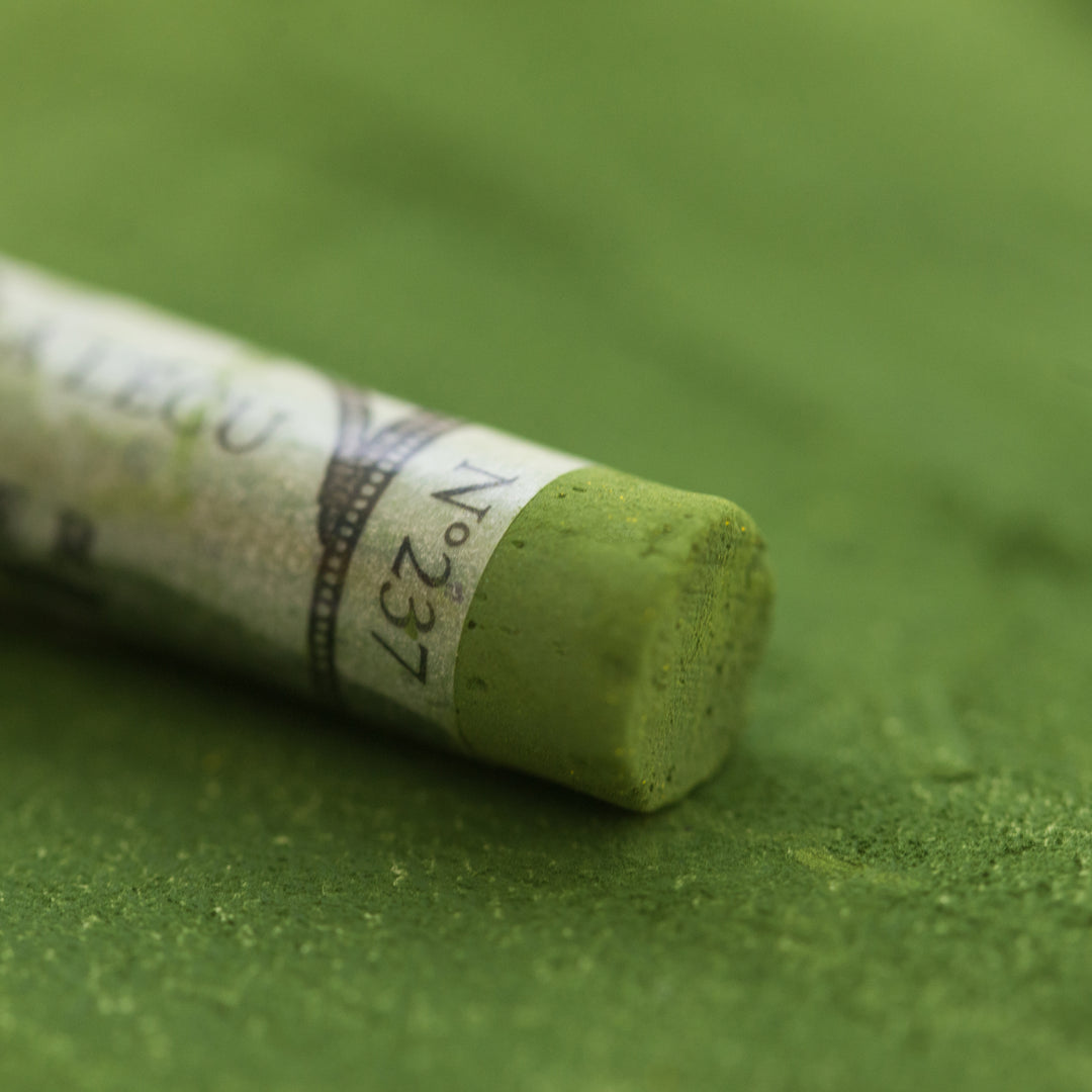 237 Olive Green Sennelier Extra Soft Pastel