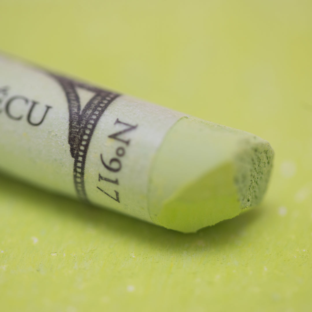 917 Forest Green Sennelier Extra Soft Pastel