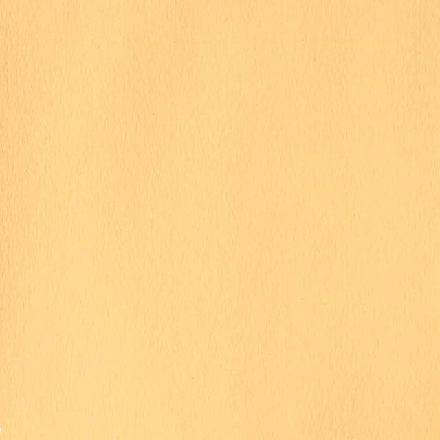 Naples Yellow Gouache WN 14ml