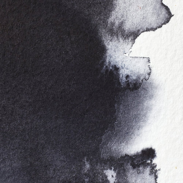 Neutral Tint S1 Winsor &amp; Newton 1/2 Pan