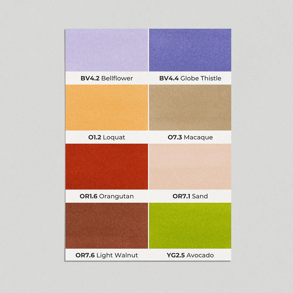 OLO Brush Basic Set 8