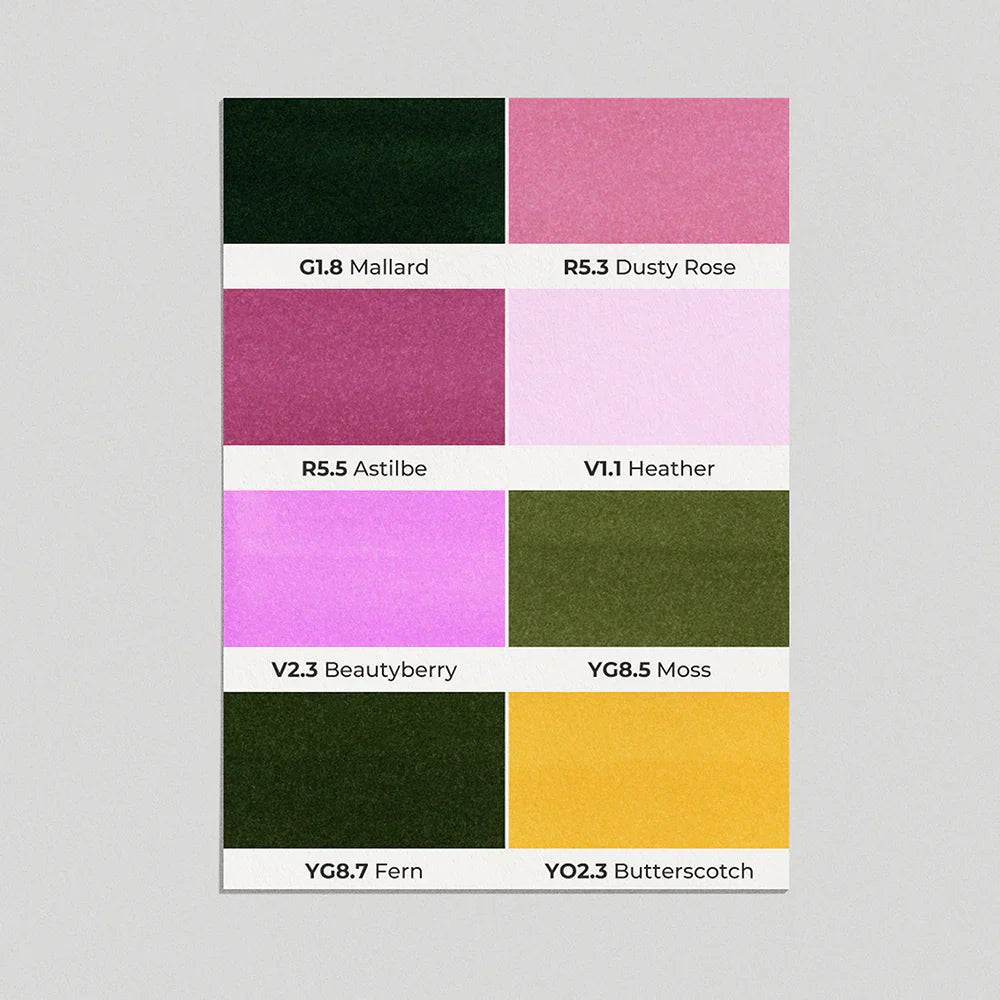 OLO Brush Basic Set 8