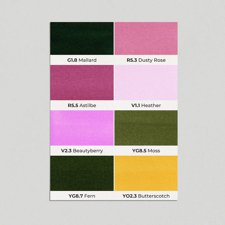 OLO Brush Basic Set 8
