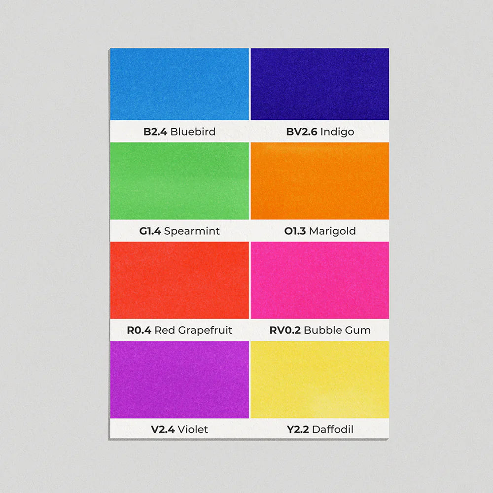 OLO Brush Basic Set 8