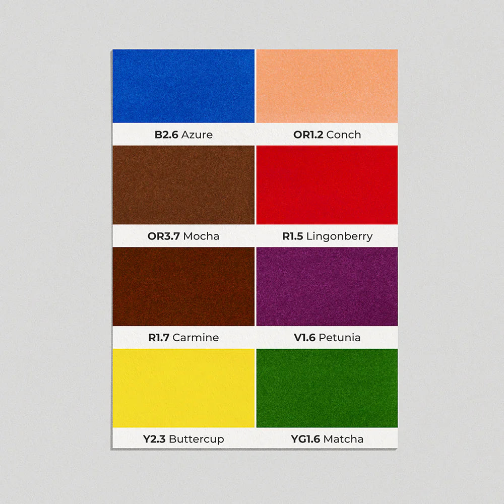 OLO Brush Basic Set 8