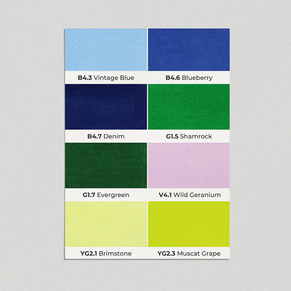 OLO Brush Basic Set 8