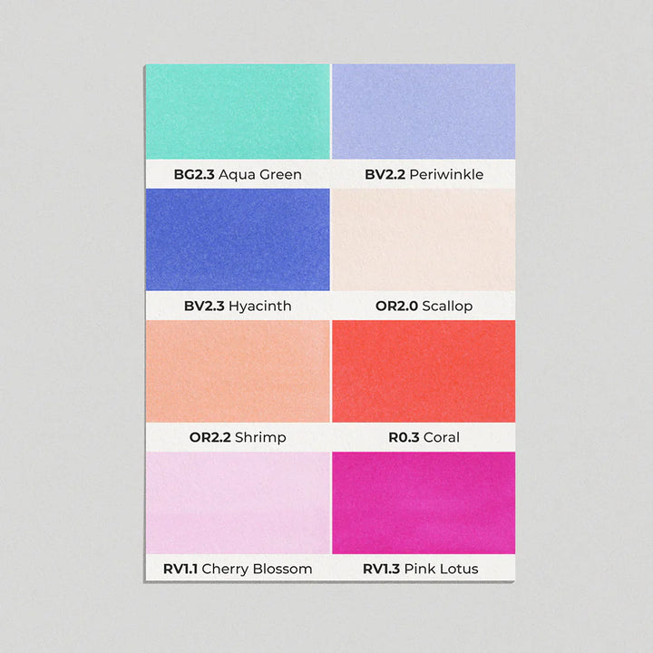 OLO Brush Basic Set 8