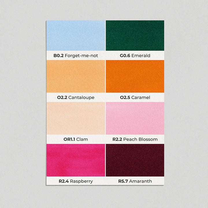 OLO Brush Basic Set 8