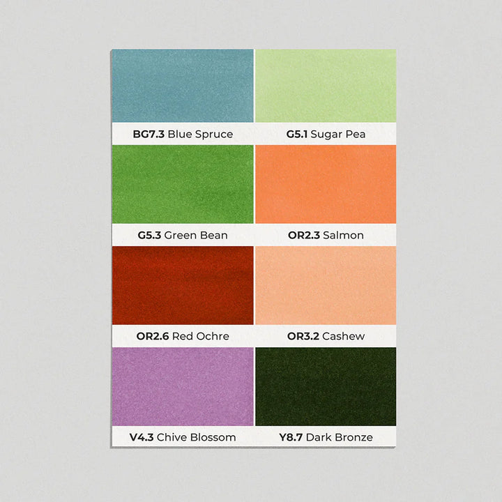 OLO Brush Basic Set 8