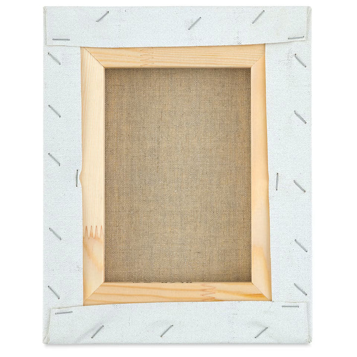 Old Holland Stretched Canvas