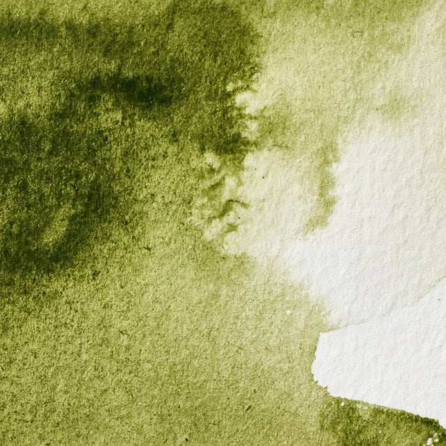 Olive Green S1 Winsor &amp; Newton 1/2 Pan