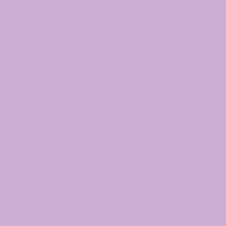 Orchid (V528) Winsor Pro Marker