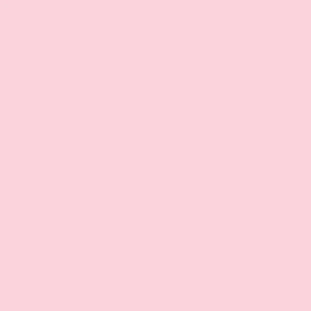 Pale Pink (R519) Winsor Brush Marker