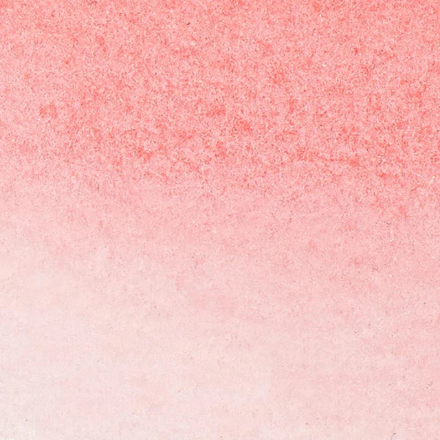 Pale Rose Winsor Newton Watercolour Marker
