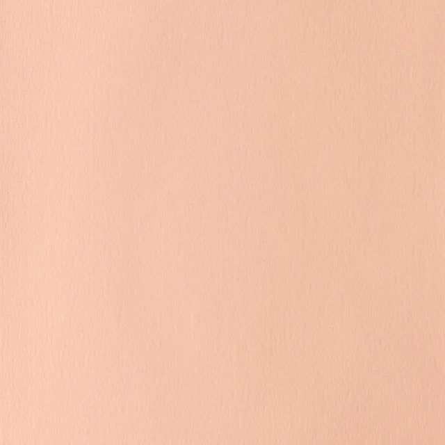 Pale Rose Blush (Flesh Tint) Gouache WN 14ml