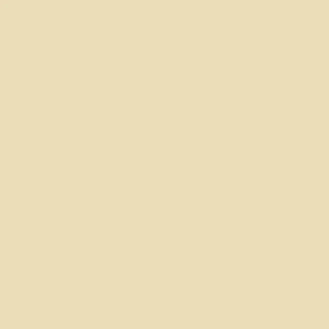 Parchment Liquitex Marker Wide 15mm