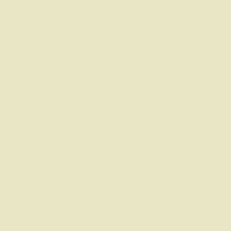 Pastel Beige (Y717) Winsor Pro Marker