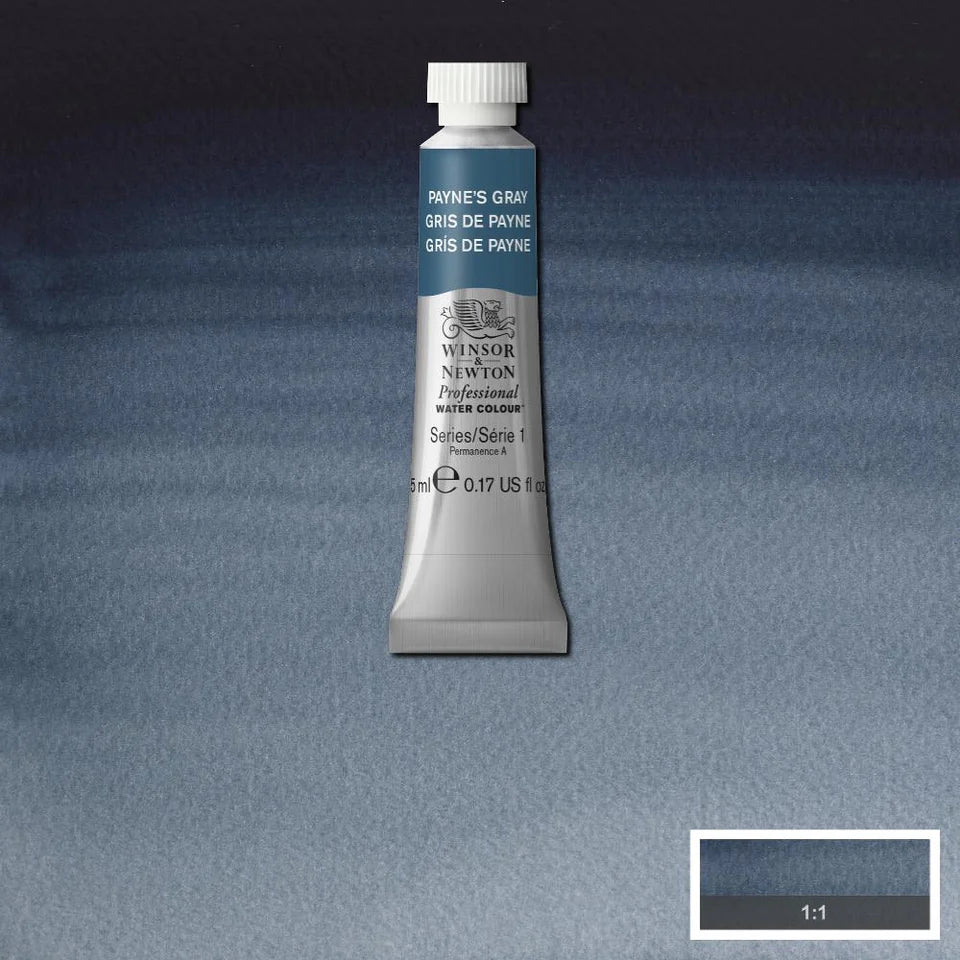 Paynes Gray Awc Winsor &amp; Newton