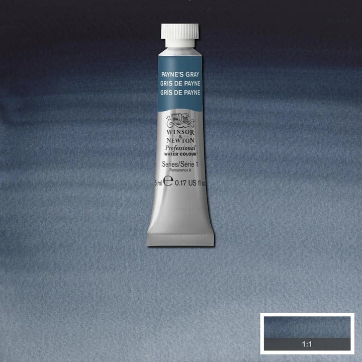 Paynes Gray Awc Winsor &amp; Newton