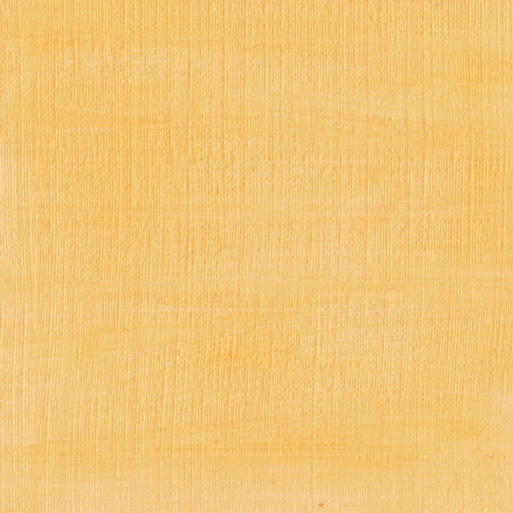 Permanent Orange Yellow Sennelier Paint Stick Regular S2