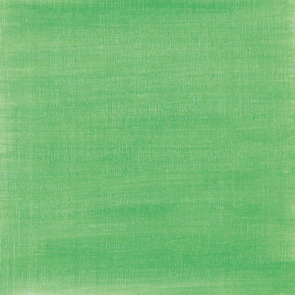 Permanent Green Sennelier Paint Stick Regular S3